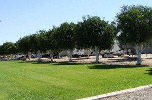 Orange Grove RV Park Bakersfield